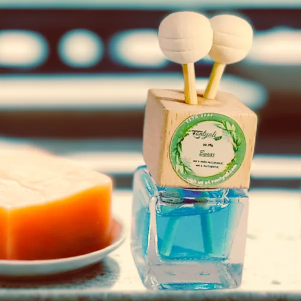 RONTYALI Byaar | Blue Sea Car Freshener
