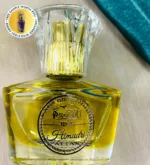 Rontyali Velvet Attar | The Scent of Intimate Sophistication