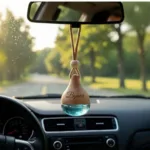 Rontyali Byaar |  Blue Sea Car Diffuser
